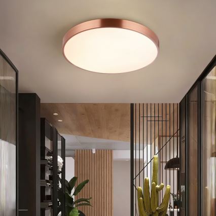 Immax NEO 07322L - LED prigušivo stropno svjetlo NEO LITE SEMPLICI LED/60W/230V, promjer 60 cm, Tuya rosé gold s daljinskim upravljačem
