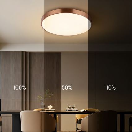 Immax NEO 07322L - LED prigušivo stropno svjetlo NEO LITE SEMPLICI LED/60W/230V, promjer 60 cm, Tuya rosé gold s daljinskim upravljačem