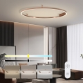 Immax NEO 07325-120C - LED prigušivo stropno svjetlo FINO LED/72W/230V 120 cm Tuya ružičasto zlato + daljinski upravljač