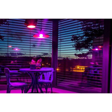 Immax NEO 07712L - LED RGB+CCT Prigušiva žarulja NEO LITE Smart E27/9W/230V Wi-Fi Tuya 2200 - 6500K