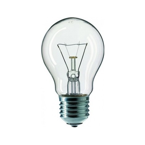 Industrijska žarulja CLEAR A55 E27/25W/230V