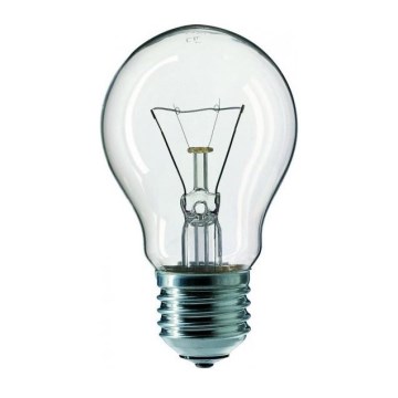 Industrijska žarulja E27/60W/230V 2200K