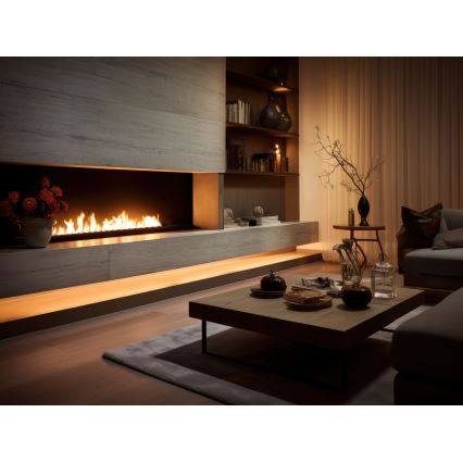 InFire - Ugrađeni BIO kamin 7,5x120 cm 7kW crna