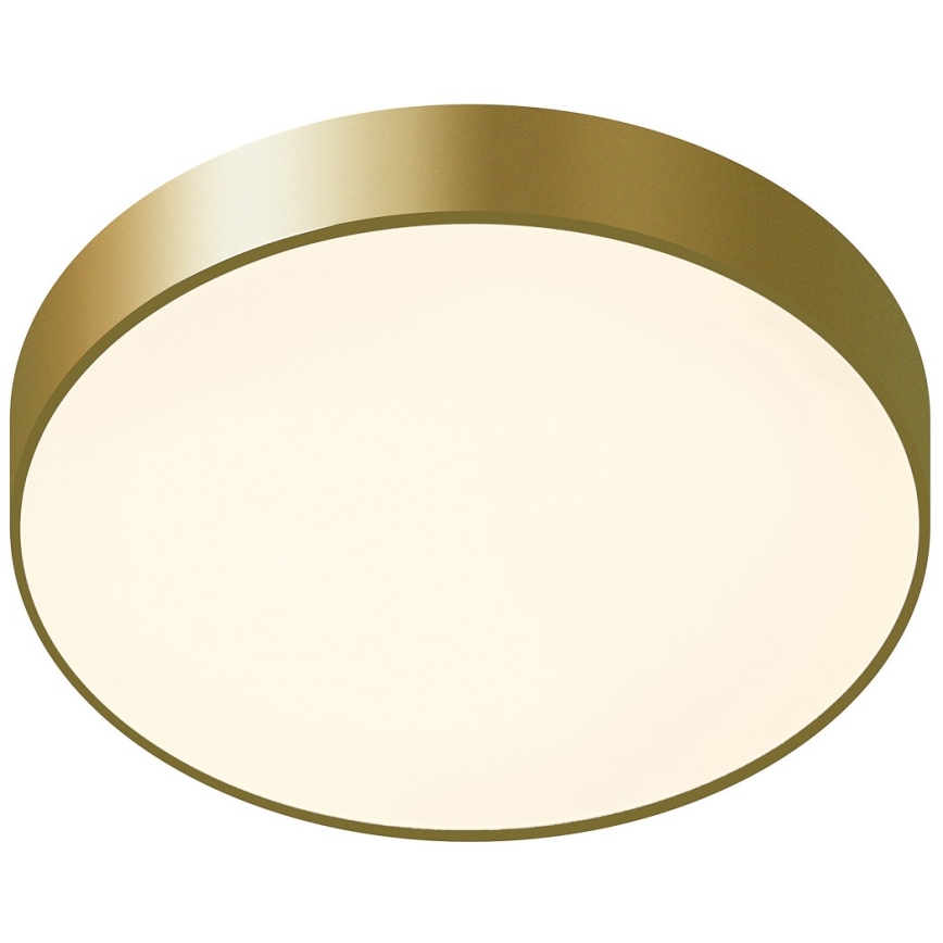 ITALUX - LED Stropna svjetiljka ORBITAL LED/30W/230V 3000K zlatna