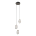 ITALUX - LED luster na sajli ALANI 3xLED/5W/230V 3000K crna/zlatna