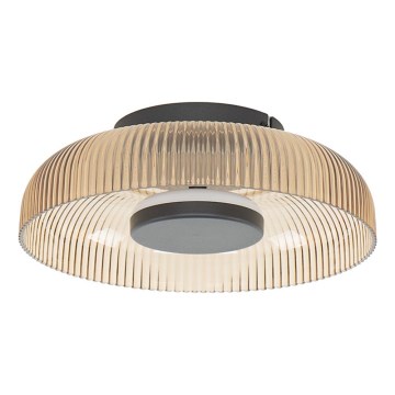 ITALUX - LED stropna svjetiljka PASSO LED/8W/230V 3000K, promjer 25 cm, zadimljena bež