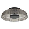 ITALUX - LED stropna svjetiljka PASSO LED/8W/230V 3000K Ø 25 cm zadimljena crna