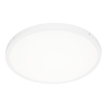 ITALUX - LED Stropna svjetiljka PELARO LED/36W/230V 4000K pr. 50 cm bijela