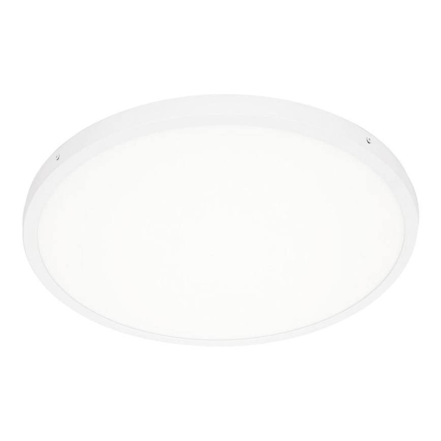 ITALUX - LED Stropna svjetiljka PELARO LED/36W/230V 4000K pr. 50 cm bijela