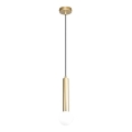 ITALUX - Luster na sajli FILANO 1xG9/5W/230V zlatni