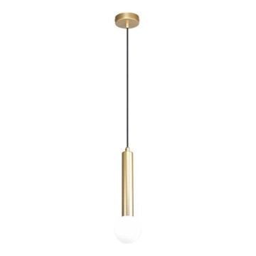 ITALUX - Luster na sajli FILANO 1xG9/5W/230V zlatni