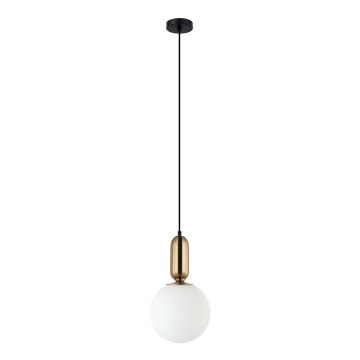 ITALUX - Luster na užetu ALDEVA 1xE27/40W/230V promjer 20 cm crna/bronca