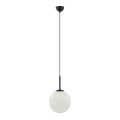 ITALUX - Luster na užetu DEORE 1xE27/40W/230V promjer 25 cm crna