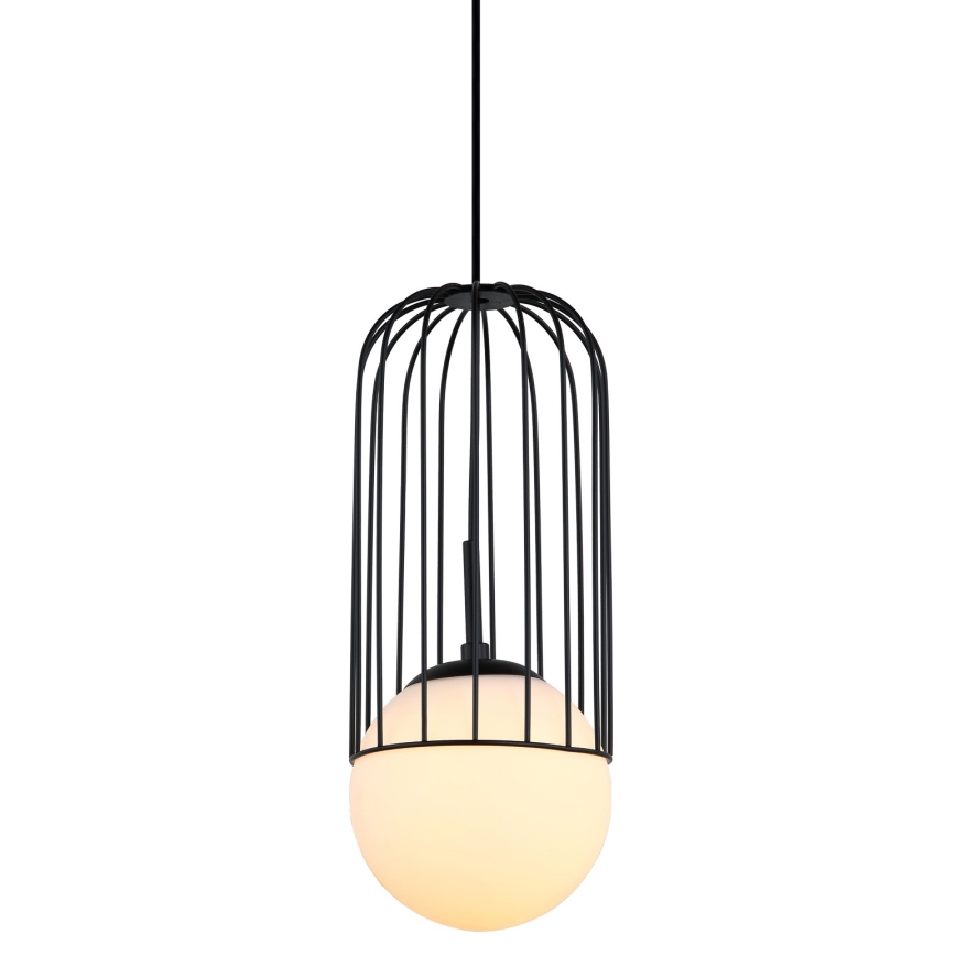 ITALUX - Luster na sajli MATTY 1xE27/40W/230V pr. 15 cm crna