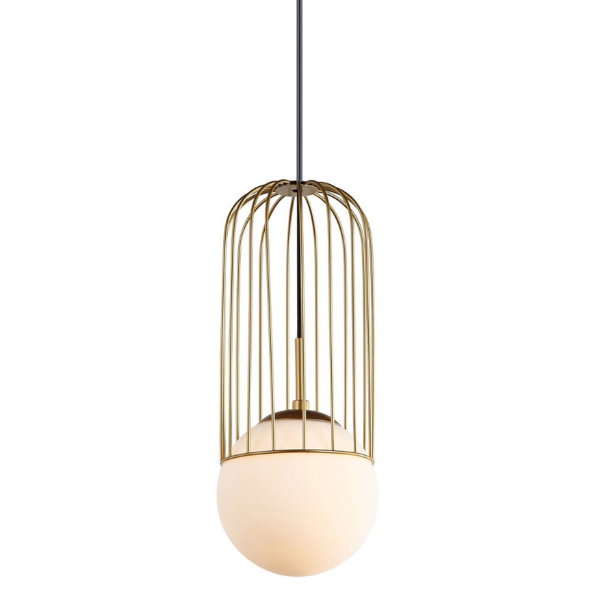 ITALUX - Luster na sajli MATTY 1xE27/40W/230V pr. 15 cm zlatna