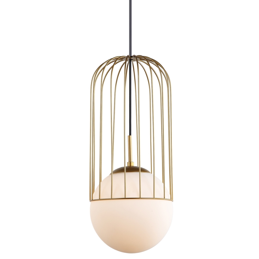 ITALUX - Luster na sajli MATTY 1xE27/40W/230V pr. 20 cm zlatna