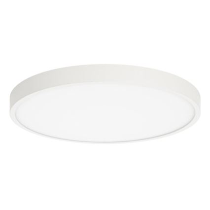 ITALUX - LED Stropna svjetiljka RIBERIO LED/30W/230V 3000K bijela