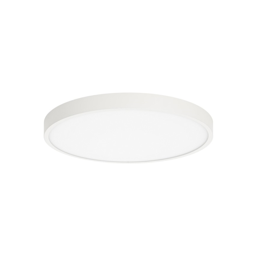 ITALUX - LED Stropna svjetiljka RIBERIO LED/30W/230V 3000K bijela