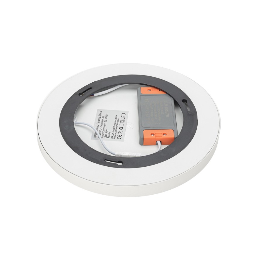 ITALUX - LED Stropna svjetiljka RIBERIO LED/30W/230V 3000K bijela