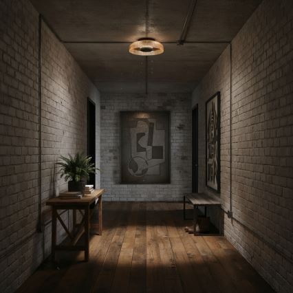 ITALUX - LED stropna svjetiljka PASSO LED/8W/230V 3000K, promjer 25 cm, zadimljena bež