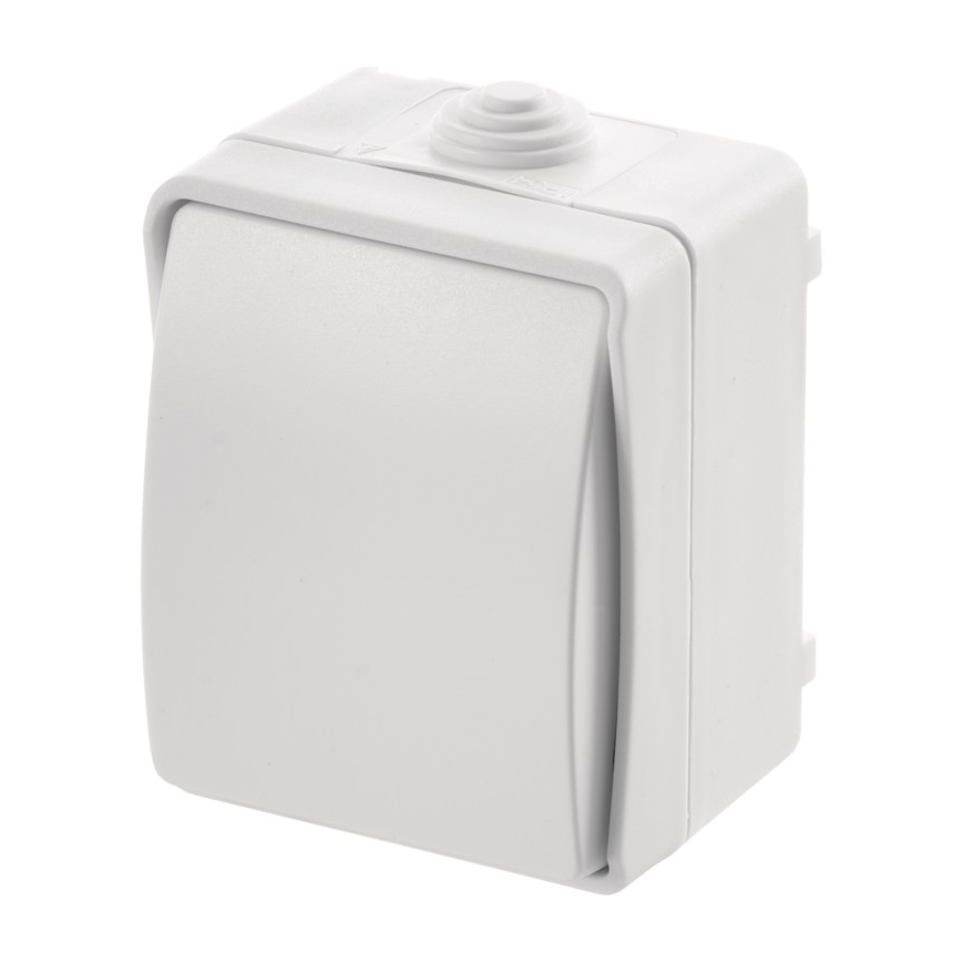 Izmjenični prekidač 250V/10A IP54