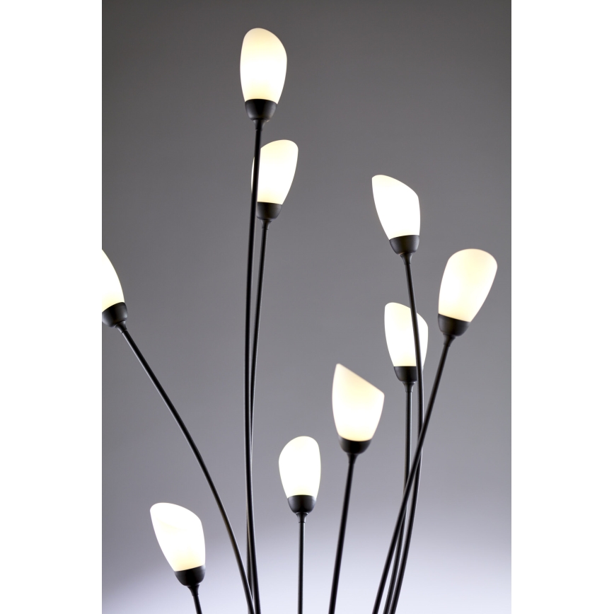 Jupiter 2058 - Podna svjetiljka GLORIOSA 9xG9/14W/230V crna