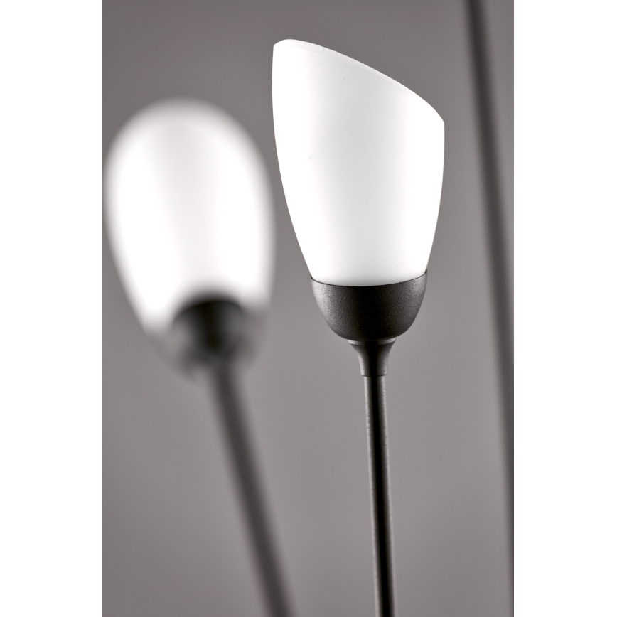 Jupiter 2058 - Podna svjetiljka GLORIOSA 9xG9/14W/230V crna