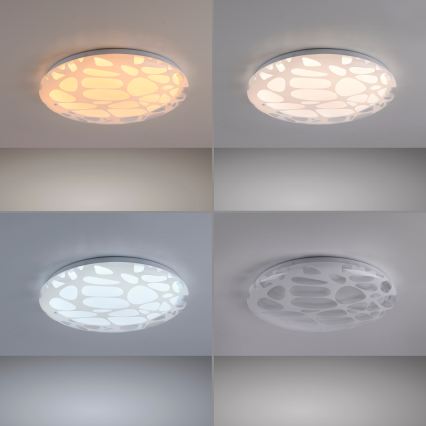 JUST LIGHT. 14009-16 - LED stropna svjetiljka s prigušivanjem ART PLAFO LED/20W/230V 2700-6500K pr. 38 cm bijela + daljinsko upravljanje