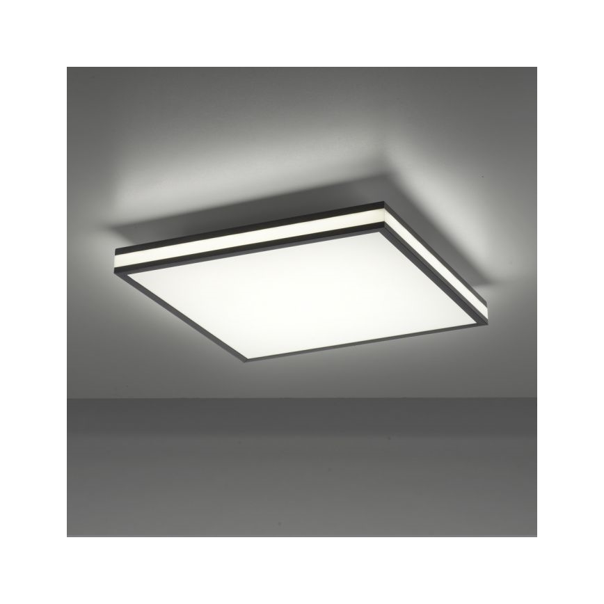 JUST LIGHT. 14110-18 - LED RGBW Prigušiva stropna svjetiljka MARIO BLACK LED/19,5W/230V 2700-5000K + daljinski upravljač