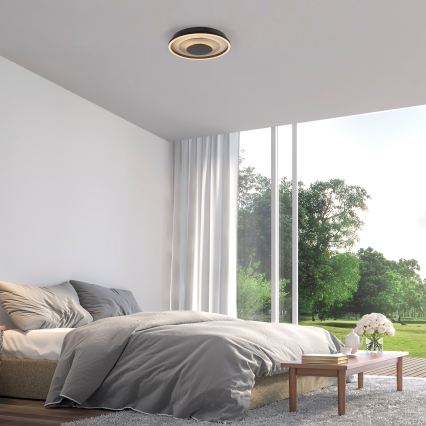JUST LIGHT. 14409-21 - LED stropna svjetiljka GLITTY LED/22W/230V Ø 40 cm crna