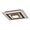 JUST LIGHT. 14439-21 - LED stropno svjetlo CICHIO LED/18,5W/230V + LED/9W 40x40 cm crna