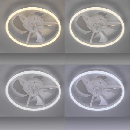 JUST LIGHT. 14624-16 - LED prigušivi stropni ventilator sa svjetlom RITA LED/22W/230V 3000-6000K Ø 50 cm bijela + daljinski upravljač