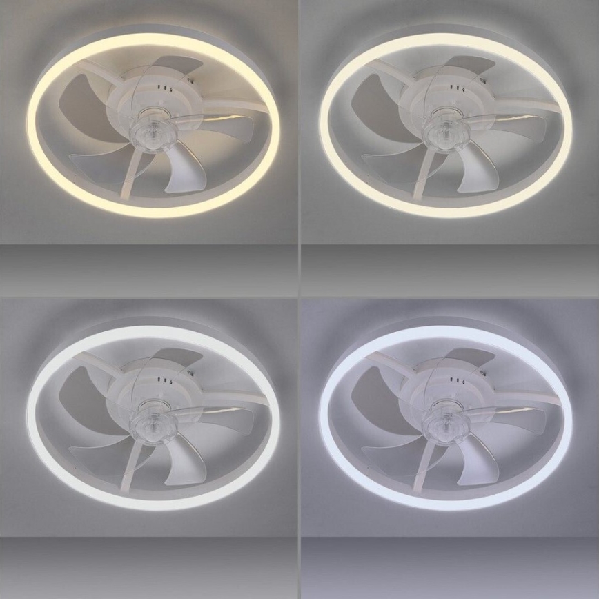 JUST LIGHT. 14624-16 - LED prigušivi stropni ventilator sa svjetlom RITA LED/22W/230V 3000-6000K Ø 50 cm bijela + daljinski upravljač