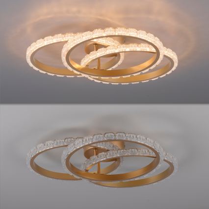 JUST LIGHT. 14734-60 - LED stropna svjetiljka GLITRA LED/37W/230V Ø 50 cm zlatna
