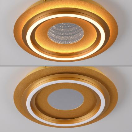 JUST LIGHT. 15089-60 - LED stropno svjetlo CICHIO LED/36W/230V Ø 40 cm zlatno