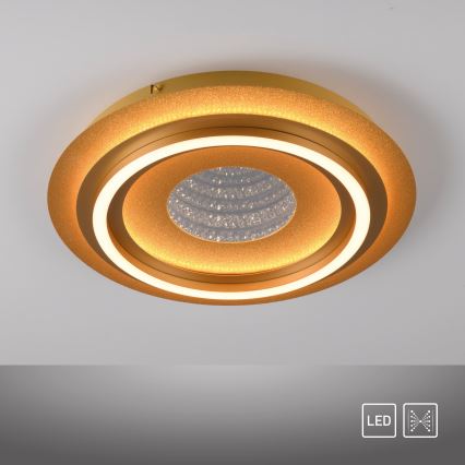JUST LIGHT. 15089-60 - LED stropno svjetlo CICHIO LED/36W/230V Ø 40 cm zlatno