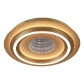 JUST LIGHT. 15089-60 - LED stropno svjetlo CICHIO LED/36W/230V Ø 40 cm zlatno