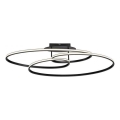 JUST LIGHT. 15321-18 - LED Stropna svjetiljka LUMACA LED/33W/230V crna