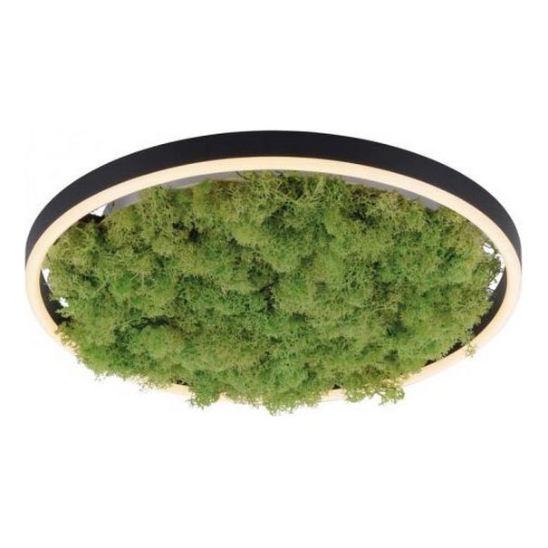 JUST LIGHT. 15391-66 - LED Prigušiva stropna svjetiljka ZELENA RITU LED/20W/230V