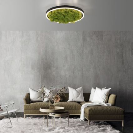 JUST LIGHT. 15391-66 - LED Prigušiva stropna svjetiljka ZELENA RITU LED/20W/230V