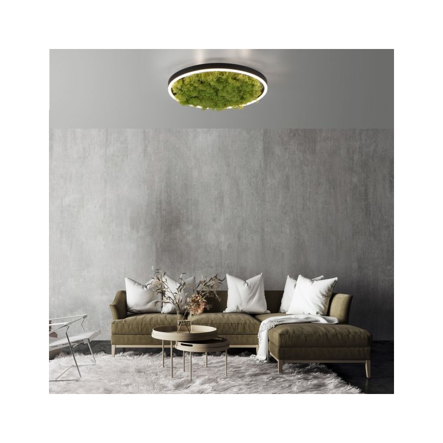 JUST LIGHT. 15391-66 - LED Prigušiva stropna svjetiljka ZELENA RITU LED/20W/230V