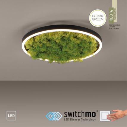 JUST LIGHT. 15391-66 - LED Prigušiva stropna svjetiljka ZELENA RITU LED/20W/230V