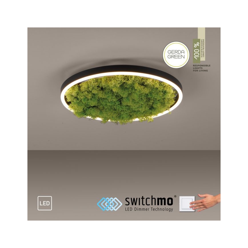 JUST LIGHT. 15391-66 - LED Prigušiva stropna svjetiljka ZELENA RITU LED/20W/230V