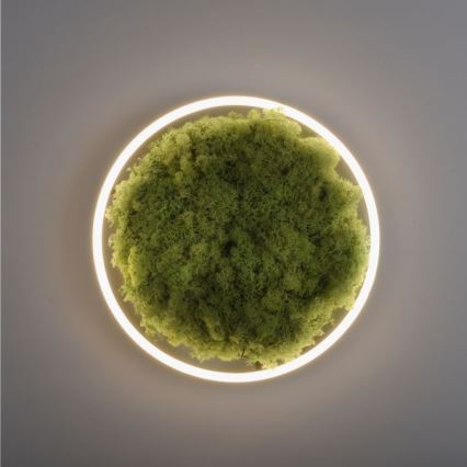 JUST LIGHT. 15391-66 - LED Prigušiva stropna svjetiljka ZELENA RITU LED/20W/230V