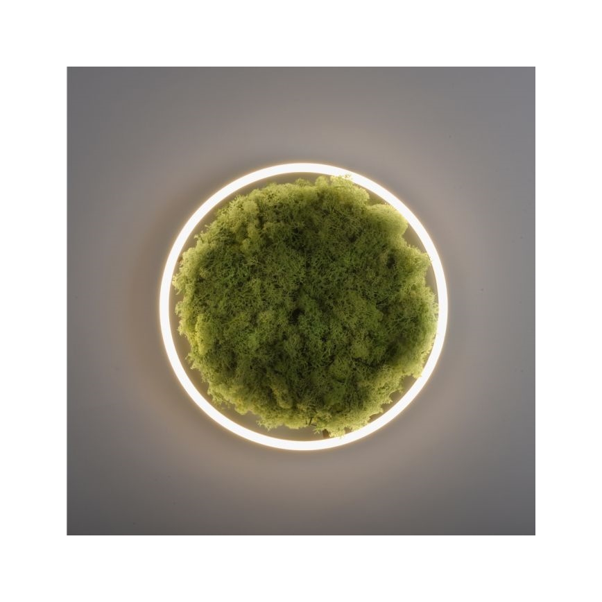 JUST LIGHT. 15391-66 - LED Prigušiva stropna svjetiljka ZELENA RITU LED/20W/230V