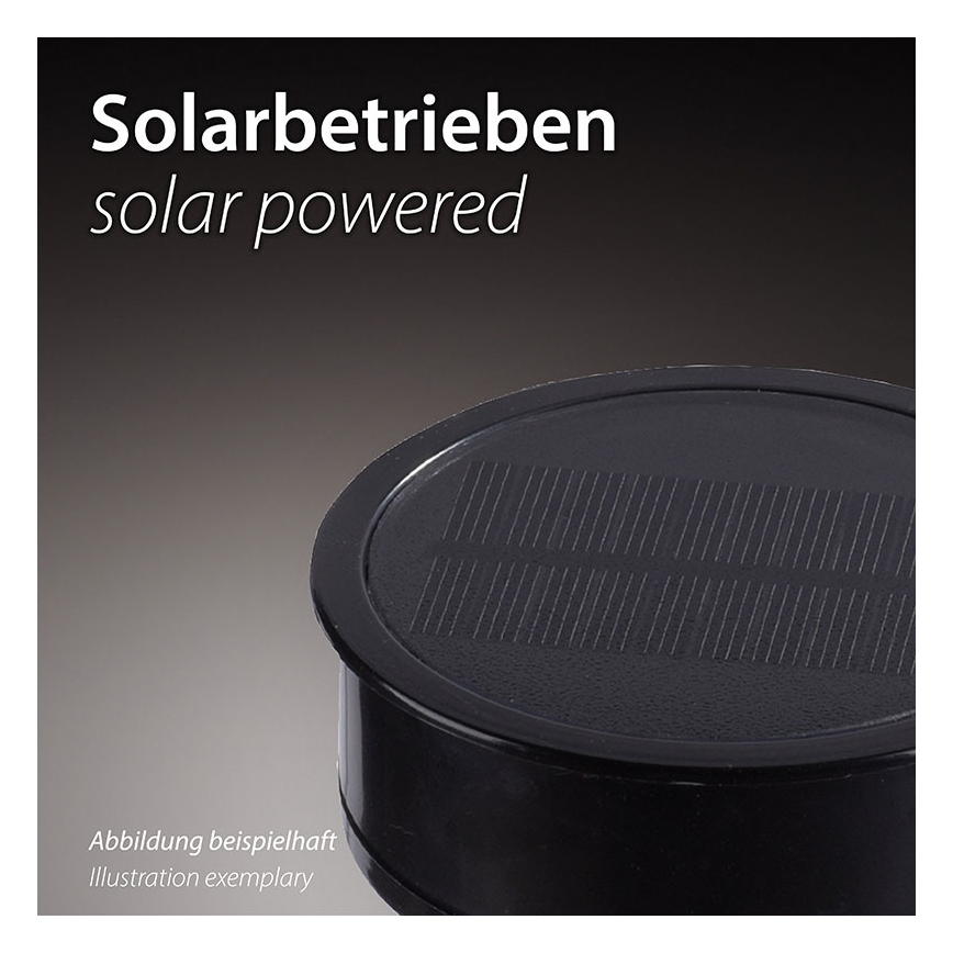JUST LIGHT. 19106-18-3 - SET 3x LED Solarna svjetiljka FACKEL LED/0,24W/3,7V IP44 crna