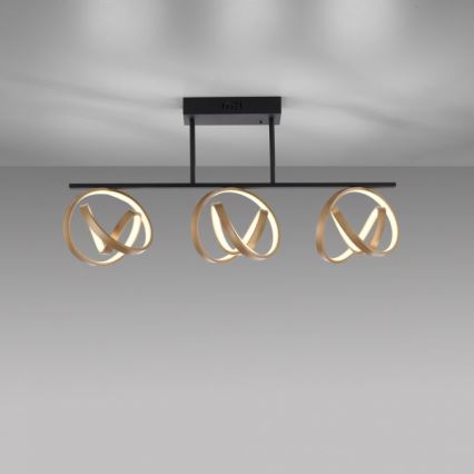 JUST LIGHT. 6245-18 - LED Prigušivi nadgradni luster LOOP 3xLED/11W/230V 2700-5000K + daljinski upravljač