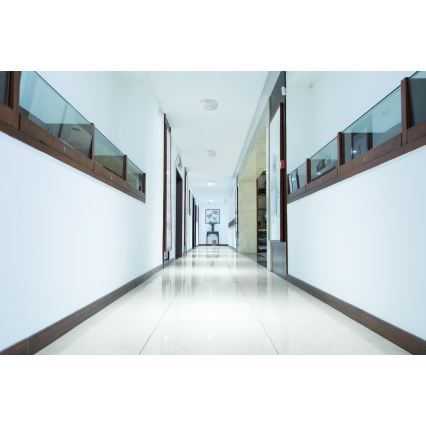 LED stropno svjetlo s integriranim senzorom pokreta i sumraka FOGLER LED/24W/230V Ø 38 cm