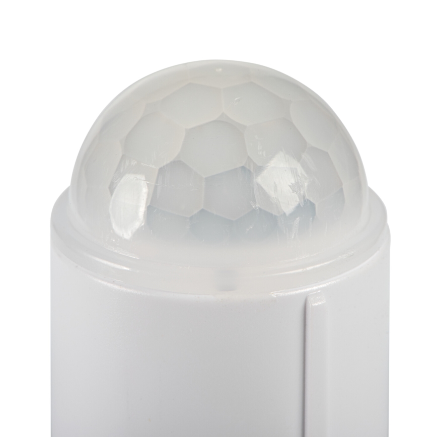 LED stropno svjetlo s integriranim senzorom pokreta i sumraka FOGLER LED/24W/230V Ø 38 cm