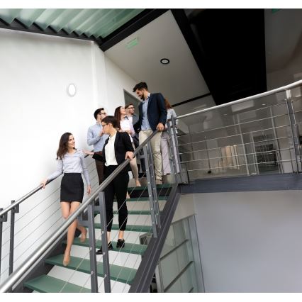 LED stropna/ugradna svjetiljka 2-u-1 ERGA LED/17W/230V 3000/4000/6500K bijela